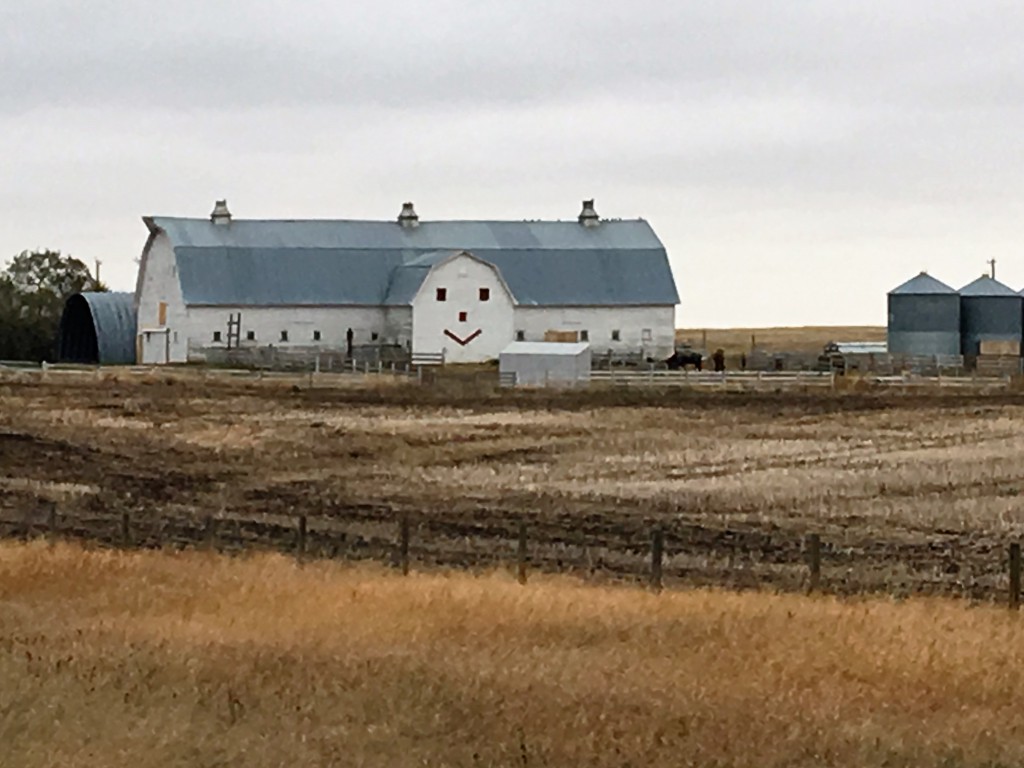 Barn humor