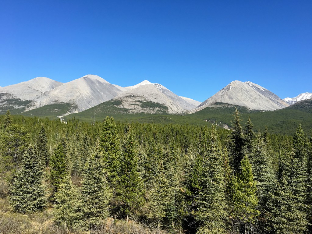 On the way to Muncho Lake