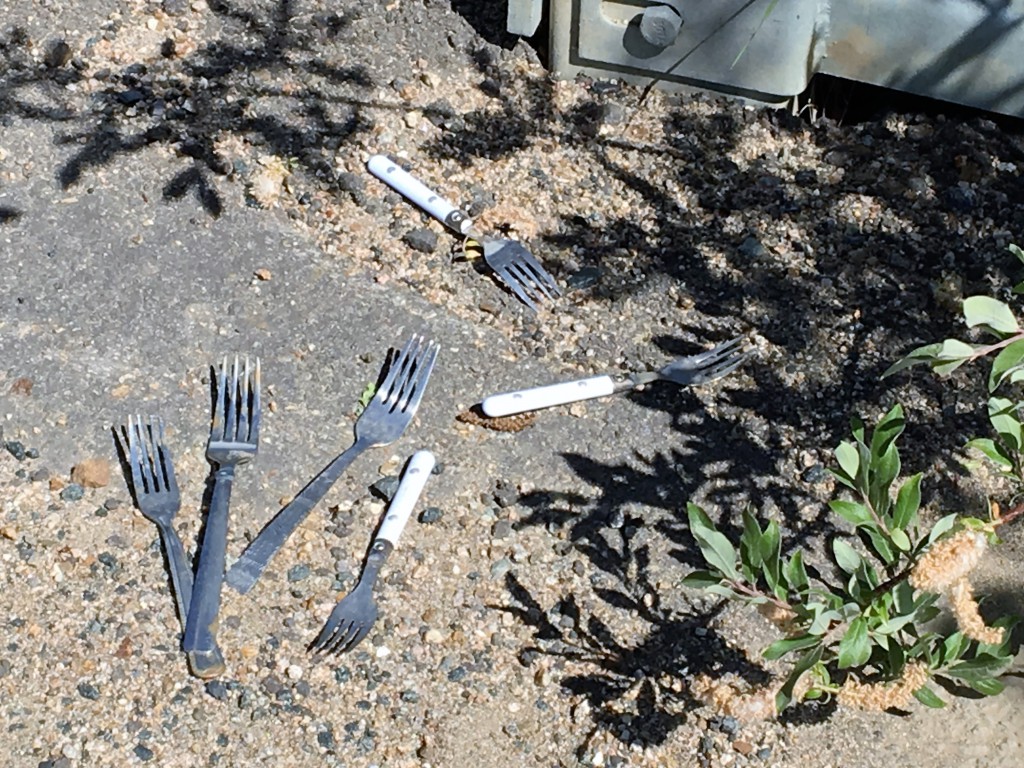 Some forks in the road