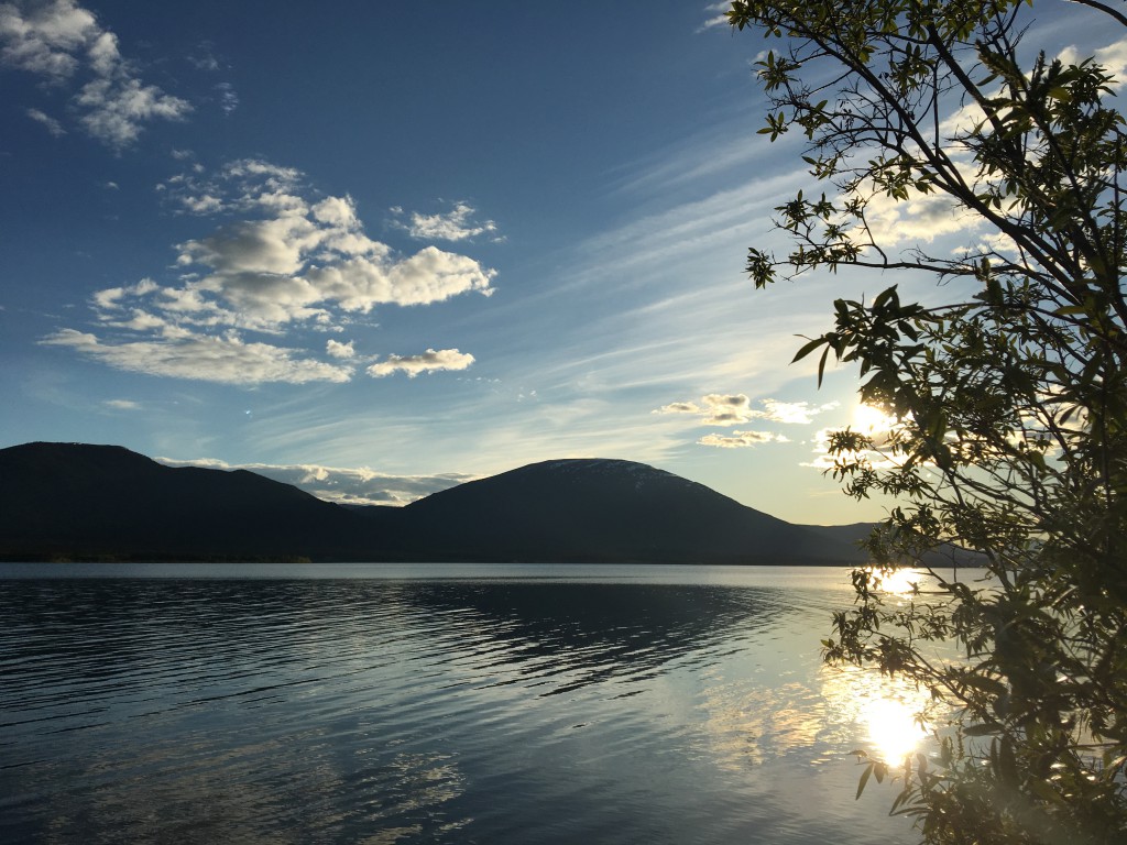 June 2 2016 ,  near Whitehorse