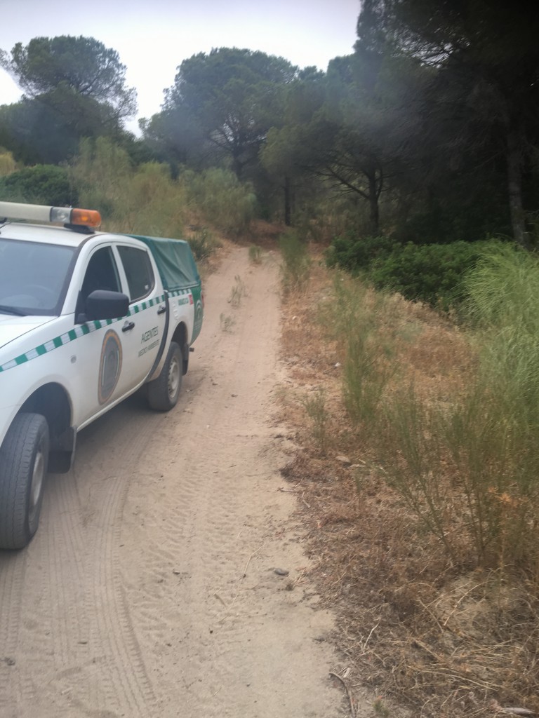 It wasn't long before the paved road turned to dirt, and the this sandy hiking trail.