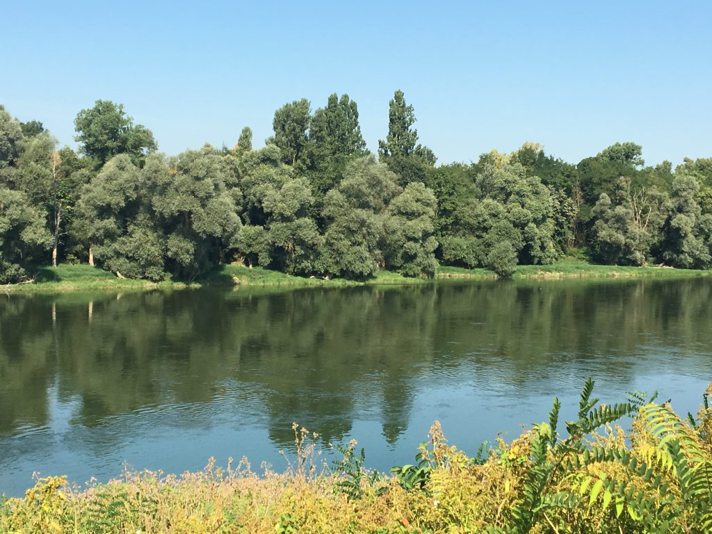 The path along the Rhine