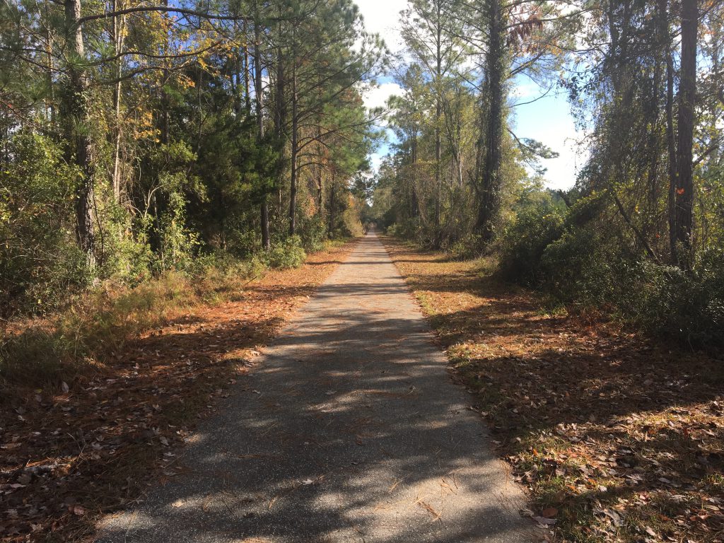Bike path on the way to Gainesville
